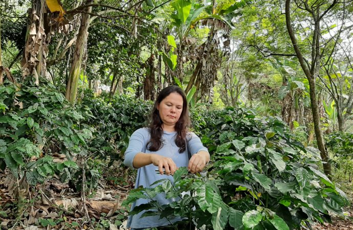 Programma CafèyCaffè per produttori Honduras