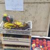 Frutta e verdura gratis a chi ne ha bisogno